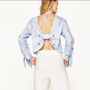 Zara Crop Embroidered Fruit Top HP